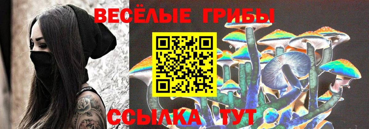 Семилуки  Псилоцибиновые грибы ЛСД  Вход с VPN 